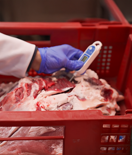 قطعيات خاصة للمطاعم